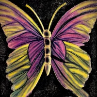 An Image Of A Butterfly Created By AI