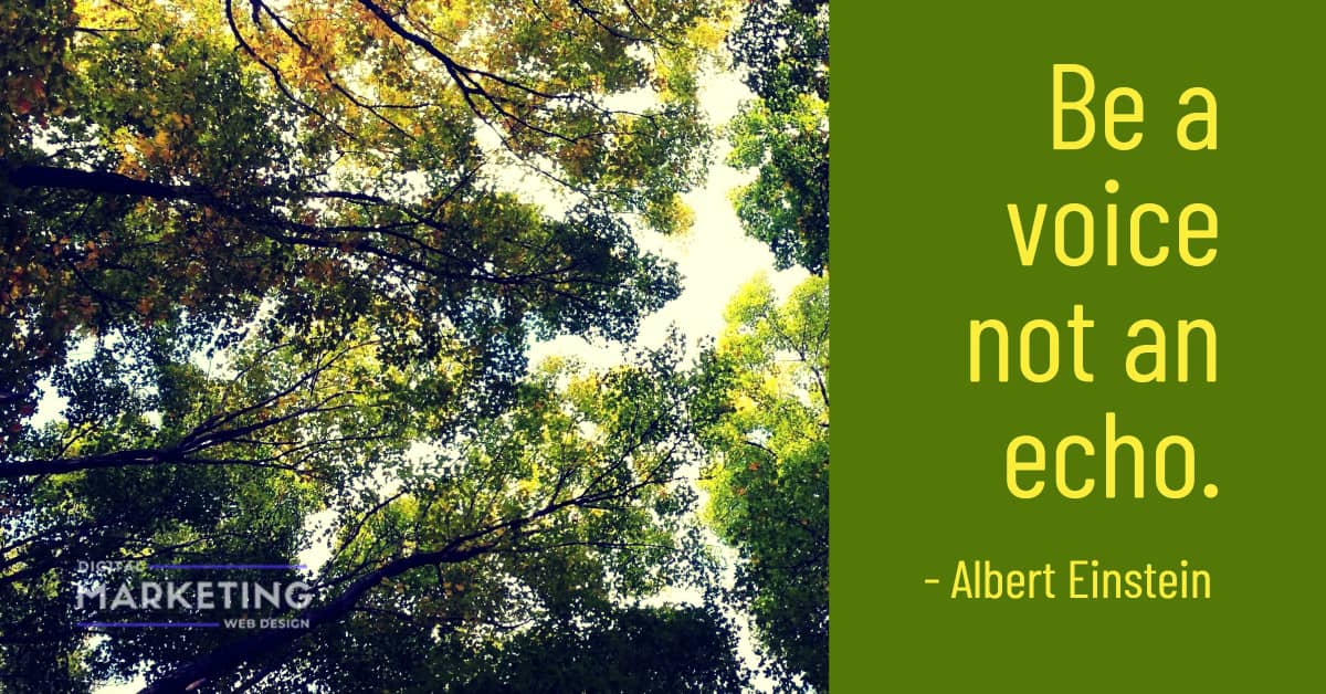 Be a voice not an echo - Albert Einstein 1