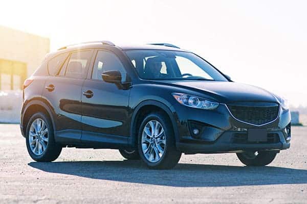 Car Rental Listings Page Style 2 Car Rental Listings Page Style 2