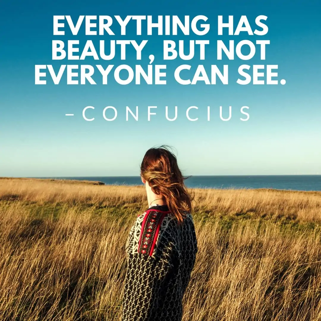 Everything has beauty, but not everyone can see. –Confucius