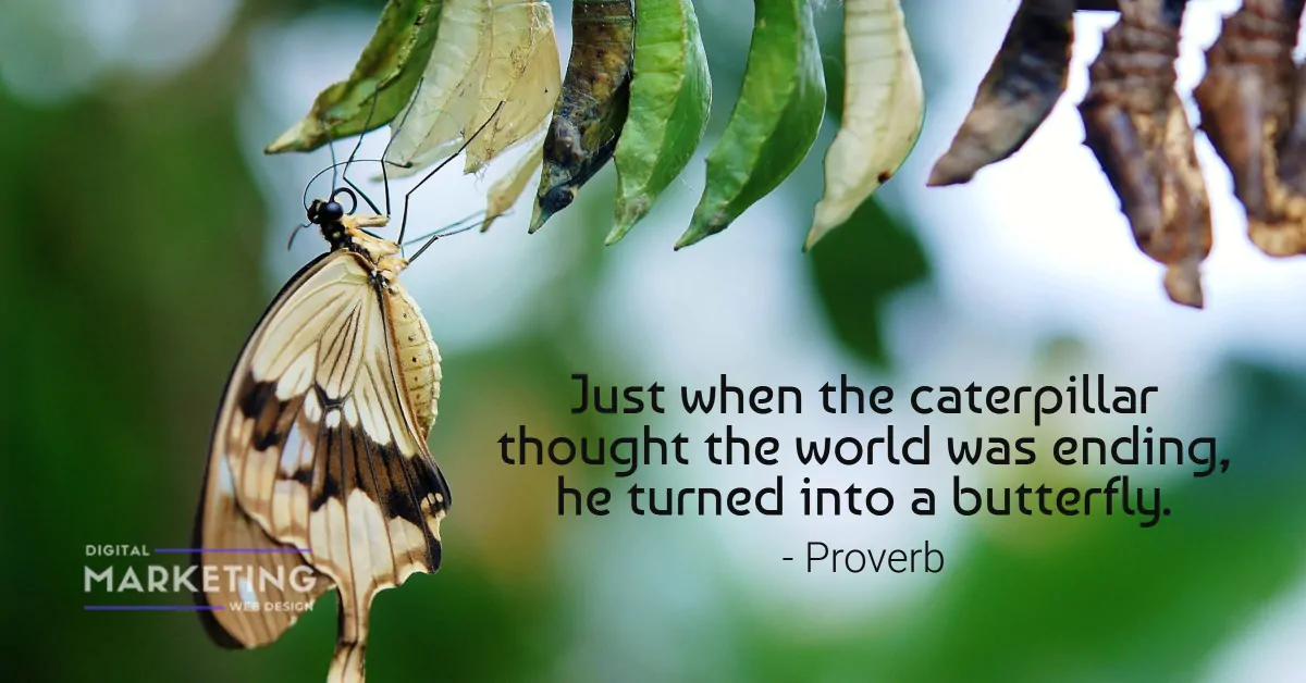 Just when the caterpillar thought the world was ending, he turned into a butterfly - Proverb 1