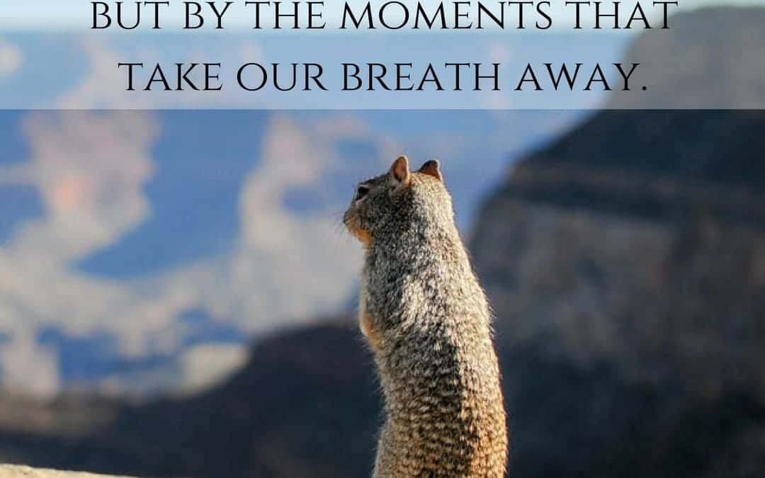 Life is not measured by the number of breaths we take, but by the moments that take our breath away. –Maya Angelou