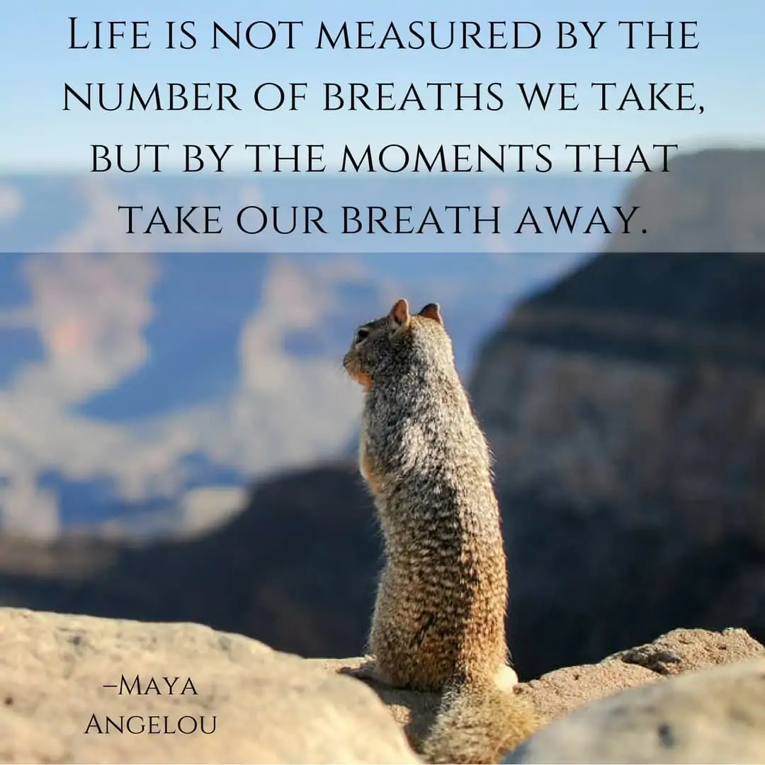 Life is not measured by the number of breaths we take, but by the moments that take our breath away. –Maya Angelou