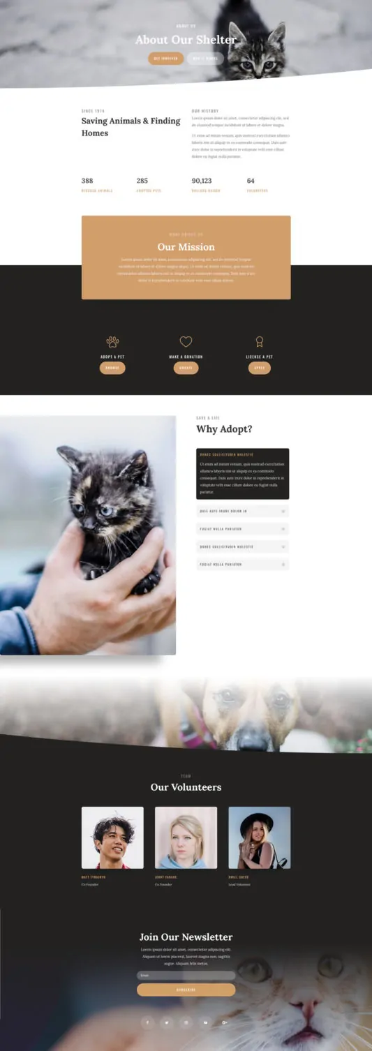 Animal Shelter Web Design 1