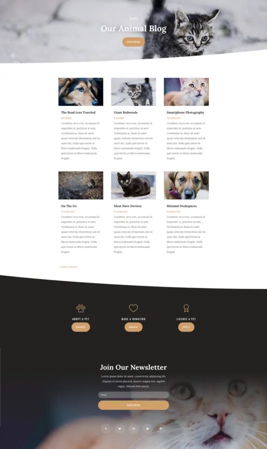 Animal Shelter Web Design 2