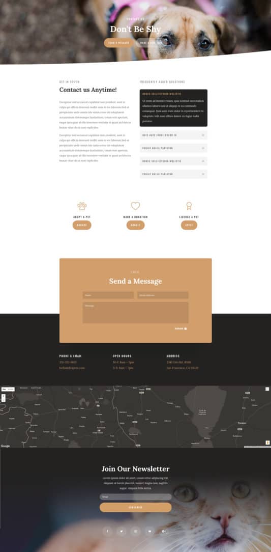 Animal Shelter Web Design 3