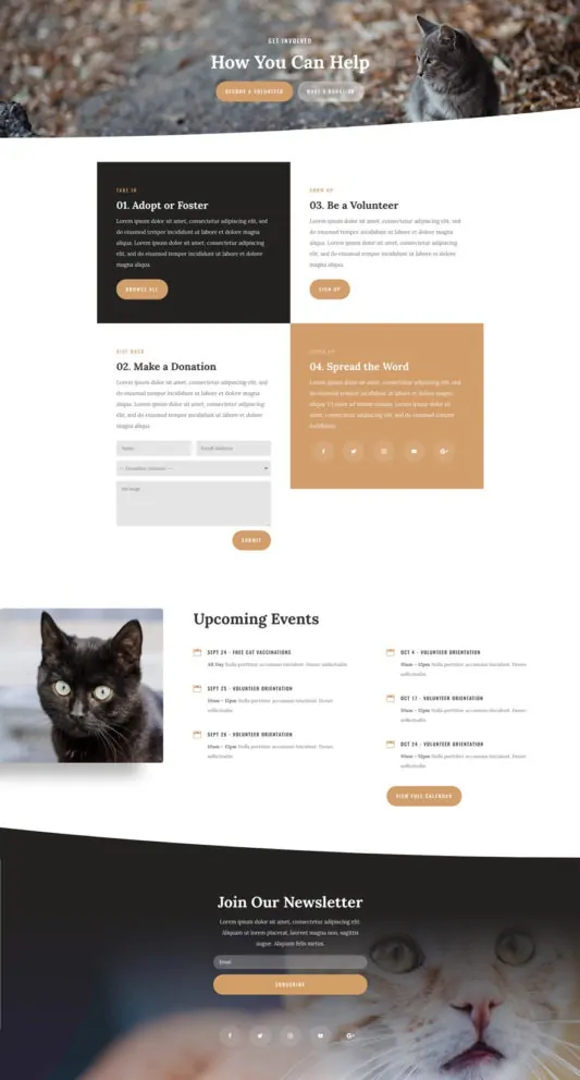Animal Shelter Web Design 4
