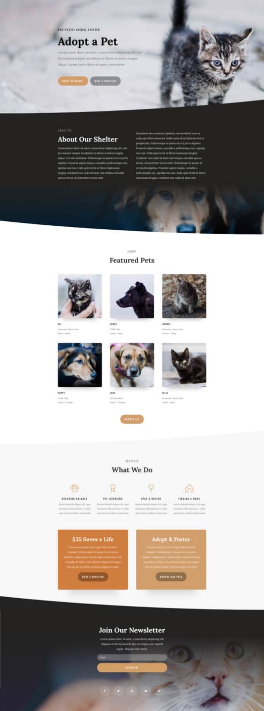 Animal Shelter Web Design 5