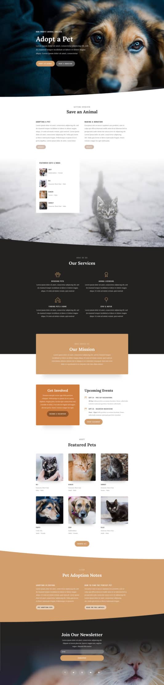 Animal Shelter Web Design 6