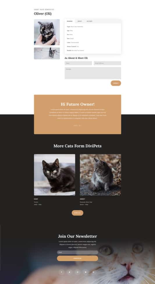 Animal Shelter Web Design 7