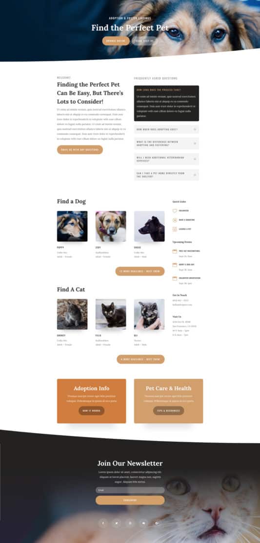 Animal Shelter Web Design 8