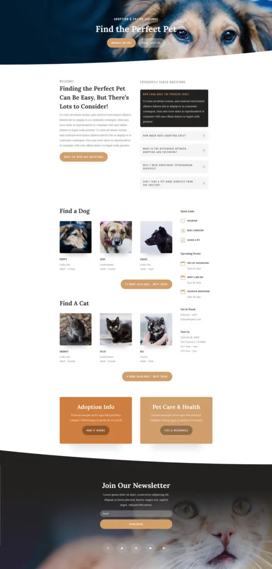 Animal Shelter Web Design 8