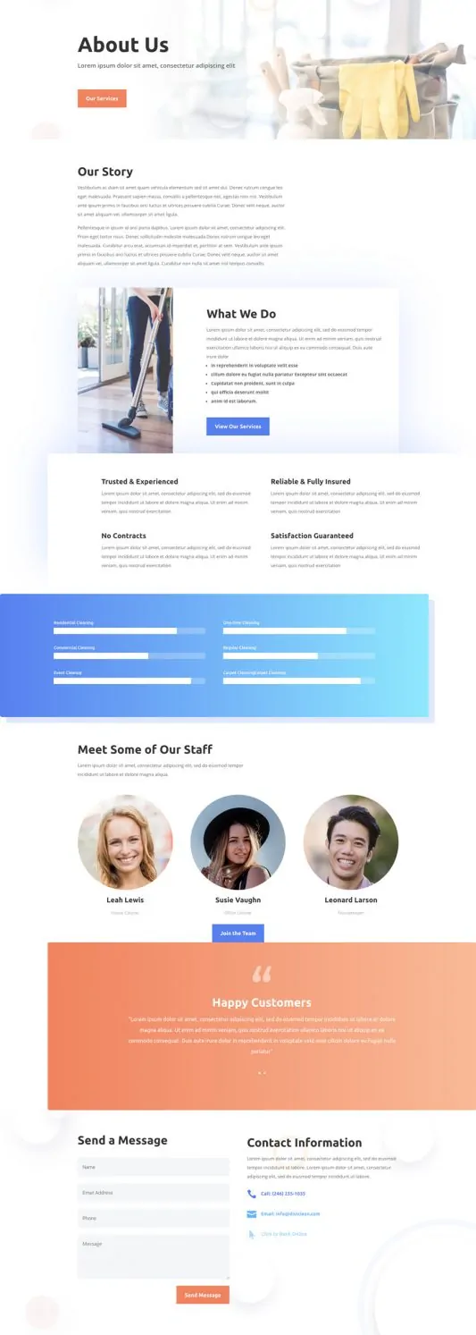Cleaning Company Web Design 1