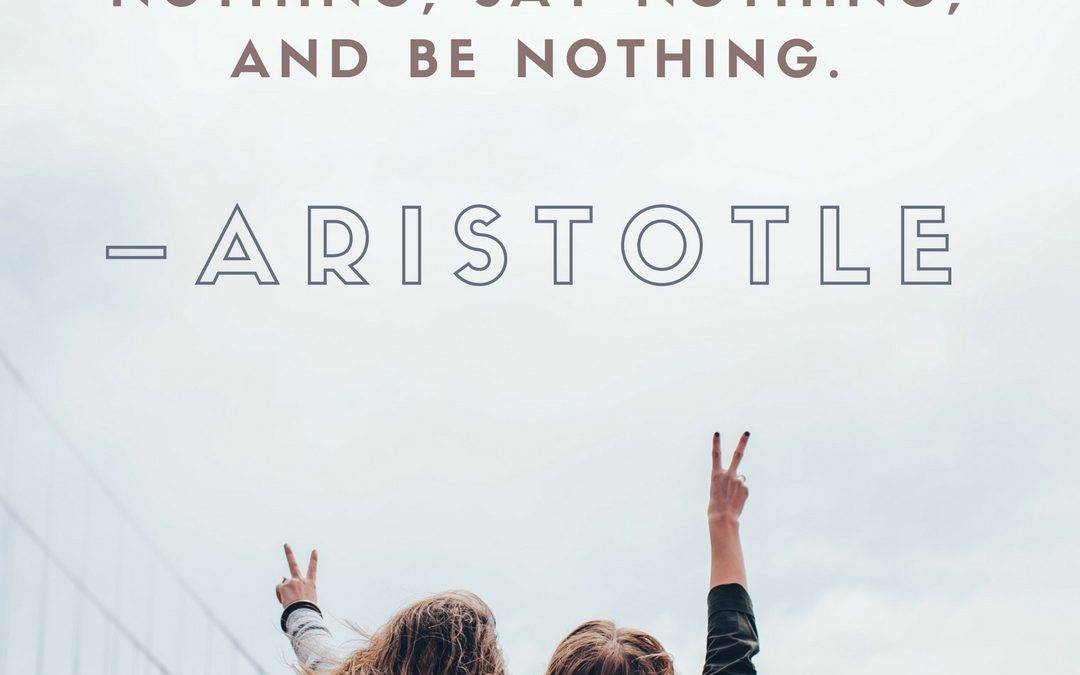 There is only one way to avoid criticism: do nothing, say nothing, and be nothing. –Aristotle