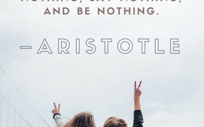 There is only one way to avoid criticism: do nothing, say nothing, and be nothing. –Aristotle
