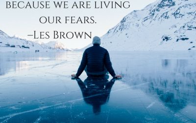 Too many of us are not living our dreams because we are living our fears. –Les Brown