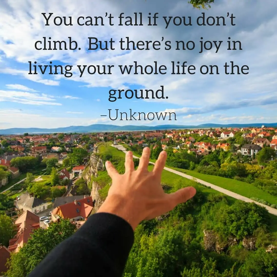 You can’t fall if you don’t climb. But there’s no joy in living your whole life on the ground. –Unknown