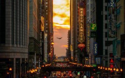 artist website design