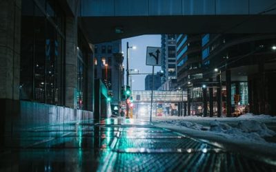 digital marketing professional program
