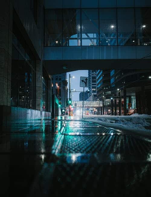 digital marketing professional program