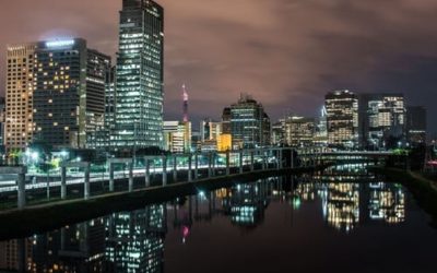 freelance web designer near me
