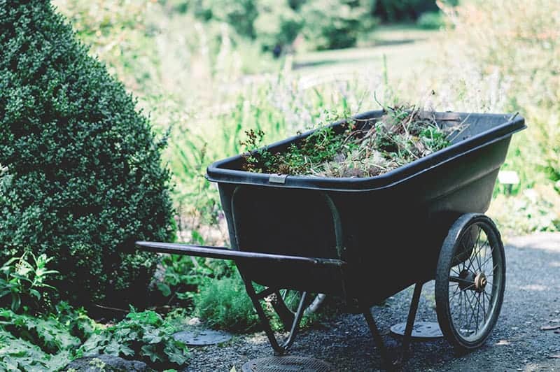 Gardener Home Page Style 15 Gardener Home Page Style 15