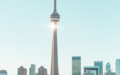new website design