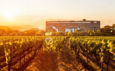 Is Hiring an SEO Agency in Healdsburg Worth the Investment? Exploring Costs, Benefits, and DIY Options