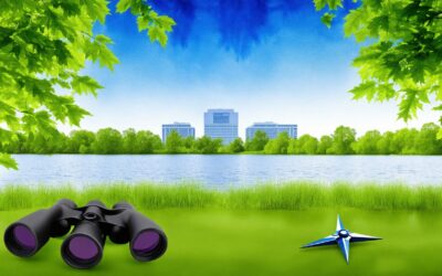 The Real Cost of Hiring an SEO Expert in Minnesota Lake: Is It Worth the Investment?