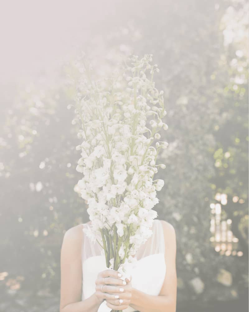 Wedding Planner About Page Style 1 Wedding Planner About Page Style 1